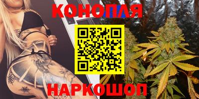 mdpv Краснознаменск