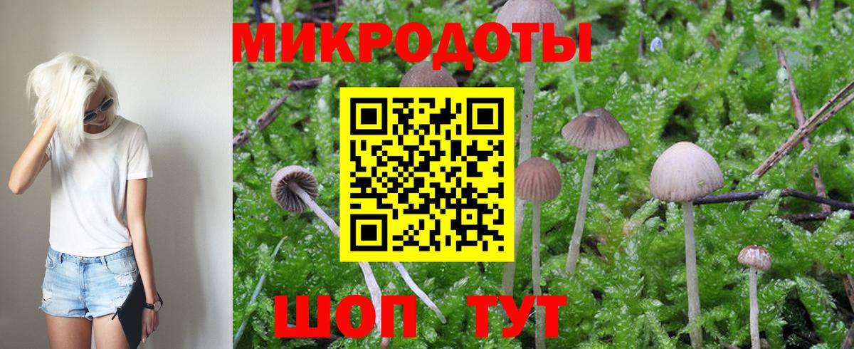 Псилоцибиновые грибы мухоморы  Вход с VPN  Знаменск 